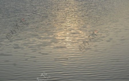 日照秋湖图片