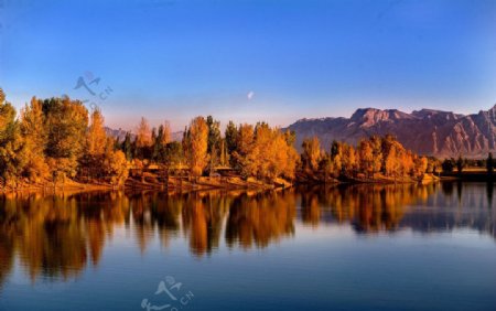 湖泊秋天树木蓝天图片