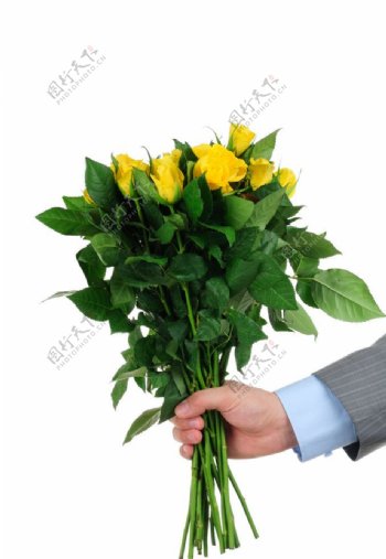 送黄色玫瑰花图片