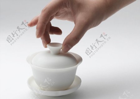 茶摄影图片