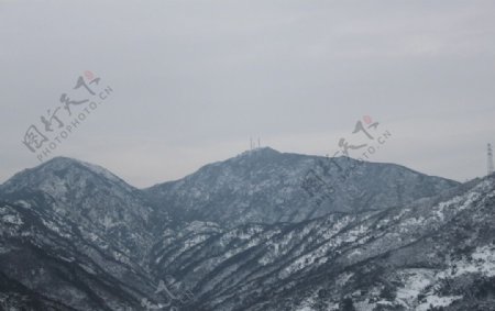 雪图二图片