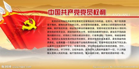 中国党员权利图片
