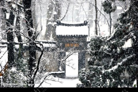 苏州天平山雪景图片