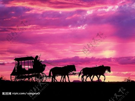 紫色天空里的梦幻马车图片