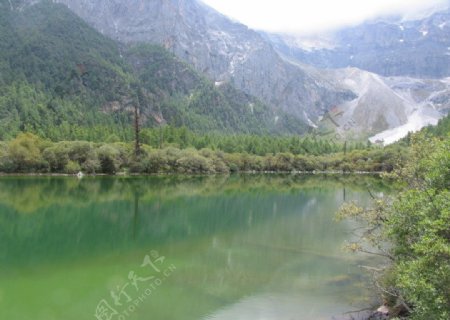 山水树木图片