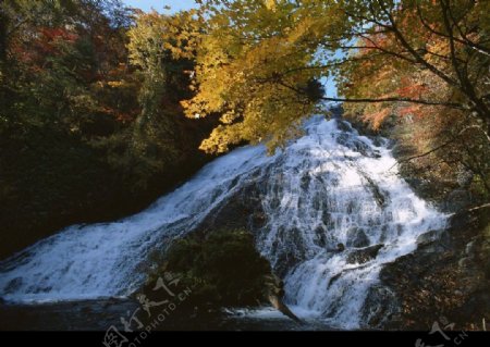高清风景照清溪自然瀑布图片