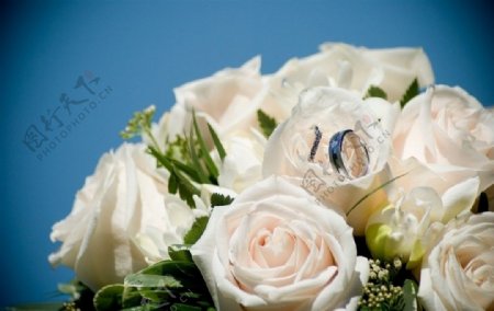 玫瑰花束和婚戒图片