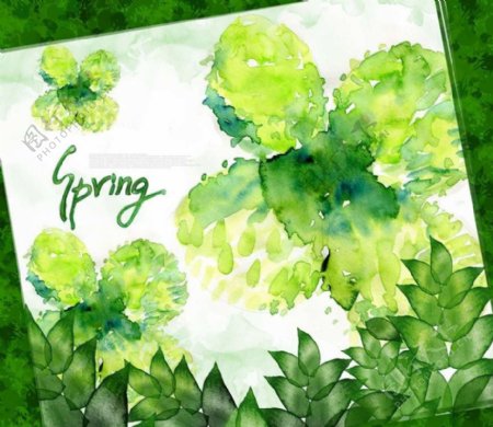 春天绿植背景图片