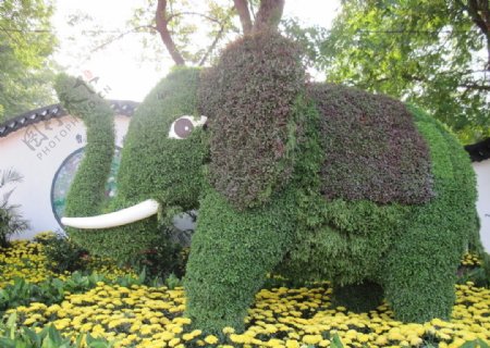 花草堆成的绿色大象曹冲称象图片