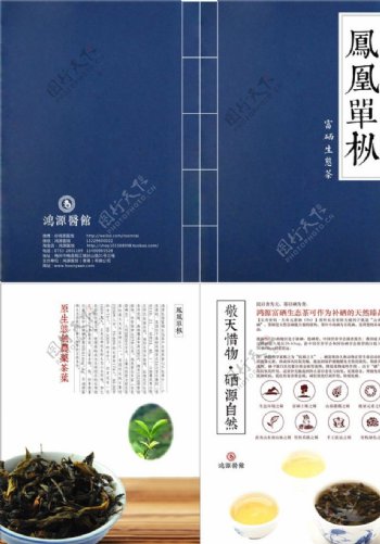 鸿源医馆养生生态单枞茶宣传单页图片
