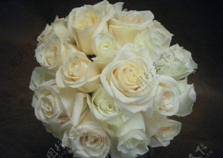 花束白玫瑰图片
