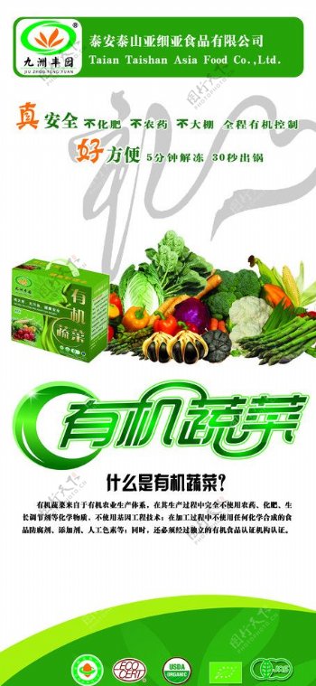 蔬菜X展架图片