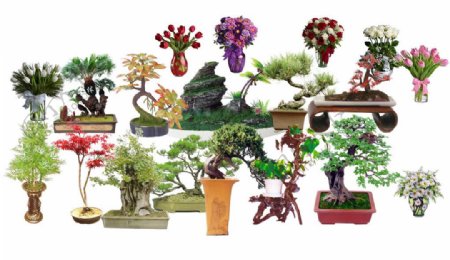 室内花瓶植物造景图片