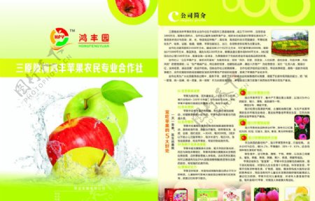 苹果单页水果宣传图片
