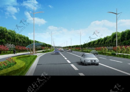道路绿化设计图片