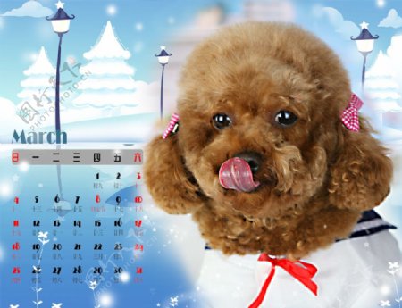 2012可爱宠物台历图片