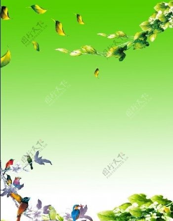 绿色花鸟展板图片
