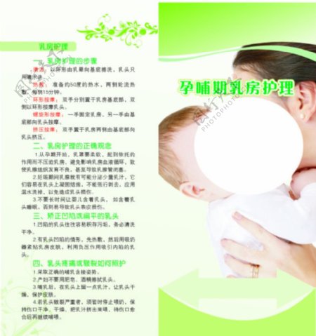 两折页孕哺期乳房护图片