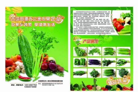 蔬菜超市传单图片