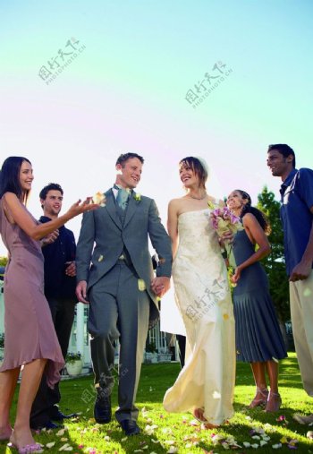 草坪婚礼图片