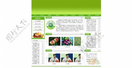 网页模板网页pse绿色网页图片