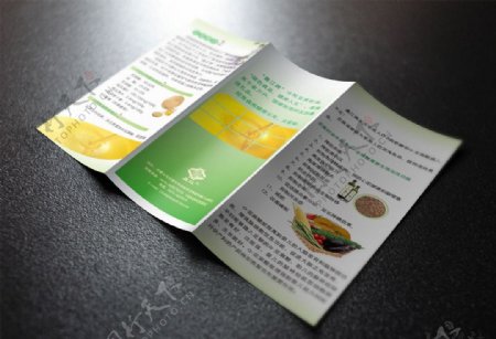 绿色食品三折页图片
