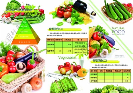 蔬菜种植绿色食品原生态图片