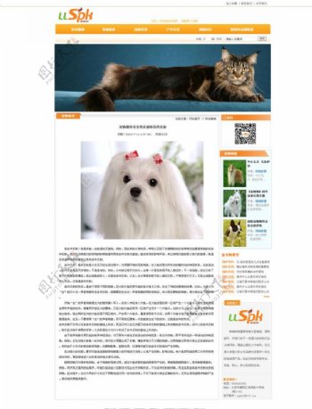 宠物网站内页模板图片