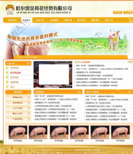 猪场网站图片