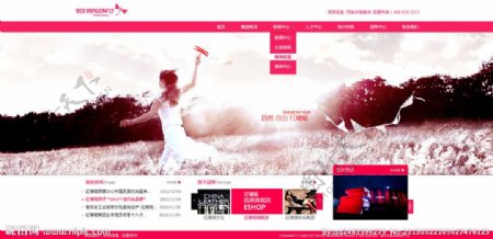 红蜻蜓企业网站图片