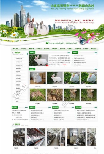 养殖类网页模板图片