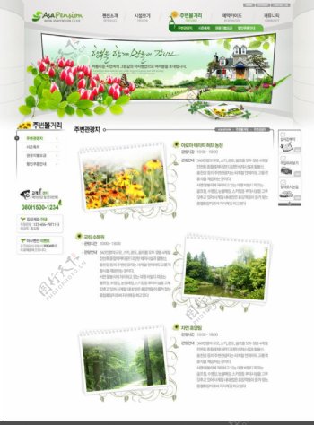 韩国绿色模板内页图片