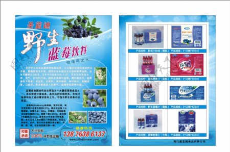 蓝莓宣传单图片
