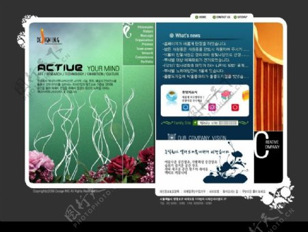 精品鲜花品茗类网站界面韩国模板5PSD图片