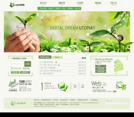 绿色企业及个人网站图片