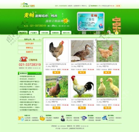 绿色家禽网站图片