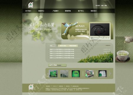 茶网站图图片