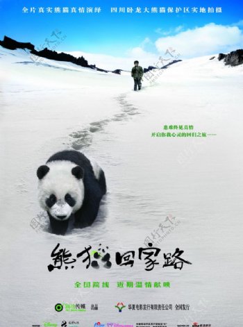 电影熊猫回家路海报分层图改psd图片