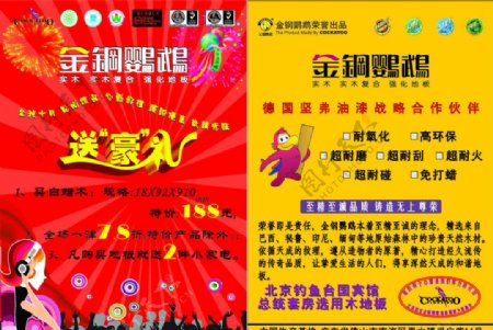 金钢鹦鹉南京宣传单页图片