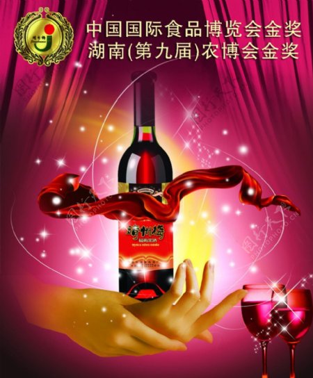 靖州梅红酒图片