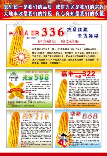 玉米农资图片