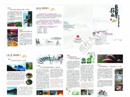 龙泉文化四折页图片