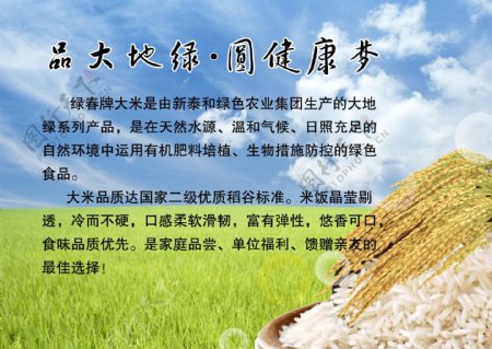 绿色大米稻谷稻田图片