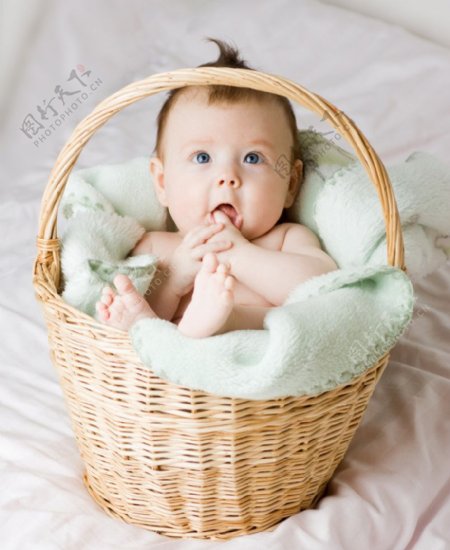 篮子里的可爱宝宝婴儿图片