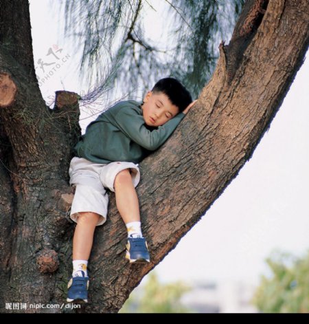 在树上睡觉的孩子图片