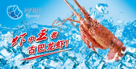 龙虾写真海报图片