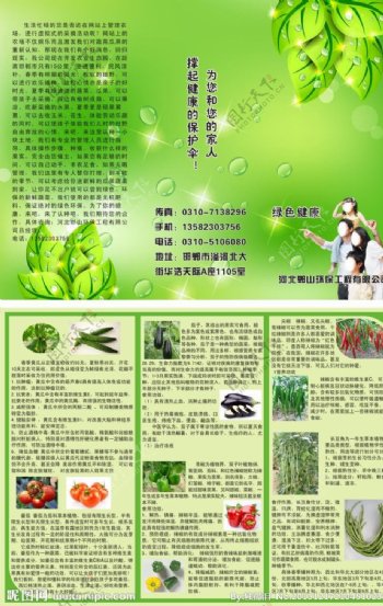 绿色背景有机蔬菜宣传图片