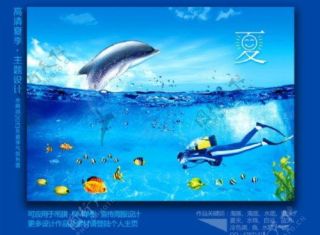 夏天海豚图片