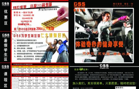 DSS双折页图片