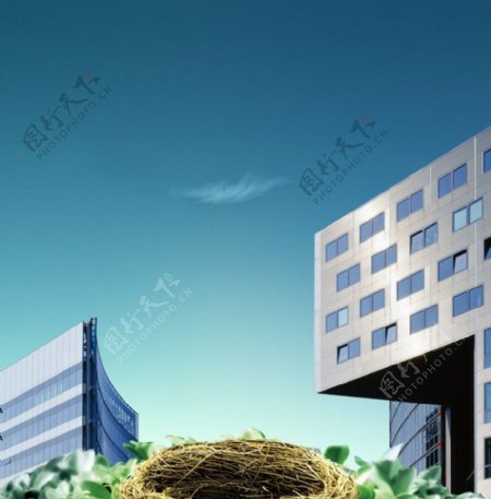 鸟巢生态城市建筑图片